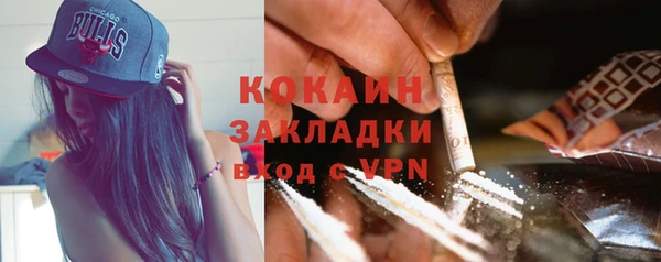 стафф Богданович