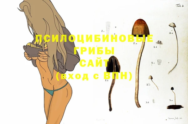 амф Белоозёрский