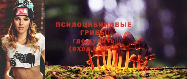 COCAINE Богородицк
