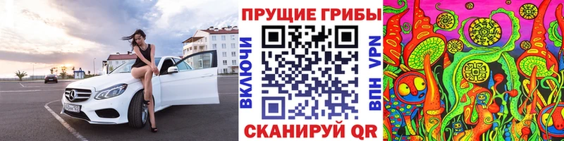 Псилоцибиновые грибы Psilocybe Мелеуз